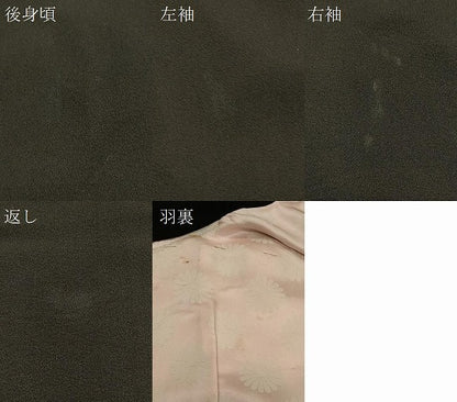 平和屋着物＃羽織　寿光織　枝松花文　黒地　金銀糸　正絹　逸品　CABH7122in