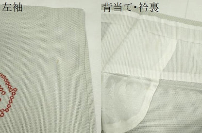 平和屋着物＊夏物　小紋　紗　舞花文　正絹　逸品　CABH7618ze