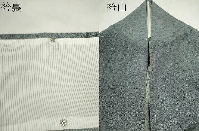 平和屋着物＊夏物　江戸小紋　絽　鮫小紋柄　正絹　逸品　CABH7652ze