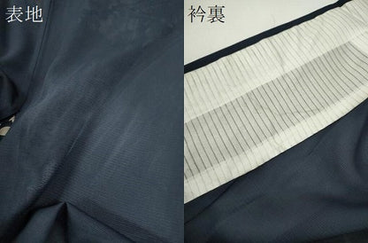 平和屋着物＊夏物　訪問着　絽　駒刺繍　枝垂れ桜文　暈し染め　金彩　正絹　逸品　CABH7653ze