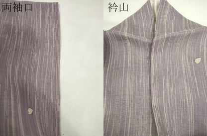 平和屋着物＊洛楽人工房　国兼屋　夏物　訪問着　紗紬　流水舞桜文　銀彩　正絹　逸品　CABH7677ze