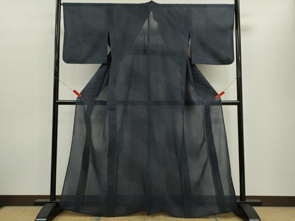 平和屋着物＊夏物　紗紬　100亀甲　切嵌吉祥文　正絹　逸品　CABH7684ze