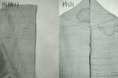 平和屋着物＊夏物　絽紬　雪輪文　高島屋扱い　正絹　逸品　CABH7690ze