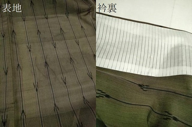 平和屋着物＊夏物　紗紬　吉祥間道　正絹　逸品　CABH7698ze