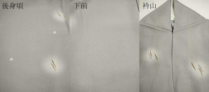 平和屋着物＊夏物　小紋　絽　蛍暈し　成り物　正絹　逸品　CABH7703ze