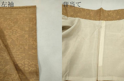 平和屋着物＊夏物　本場大島紬　夏大島　吉祥文　正絹　逸品　CABH7712ze