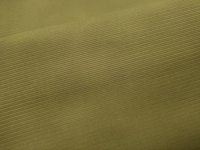 平和屋着物＊虹色創家 本郷大田子 夏物 男性 小紋 絽 大田