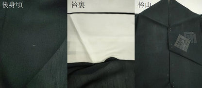平和屋着物＊夏物　結城紬　夏結城　飛び亀甲柄　100亀甲　源氏香　黒地　正絹　逸品　CABH7737ze