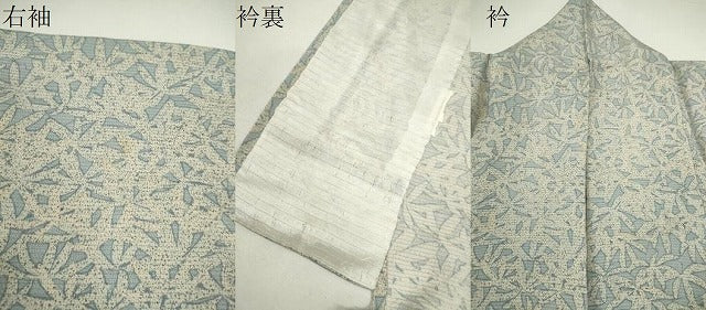 平和屋着物＊夏物　小紋　絽　葉尽くし　正絹　逸品　CABH7740ze