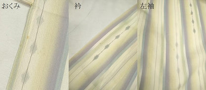 平和屋着物＊夏物　明石ちぢみ　縞　吉祥文　正絹　逸品　CABH7742ze