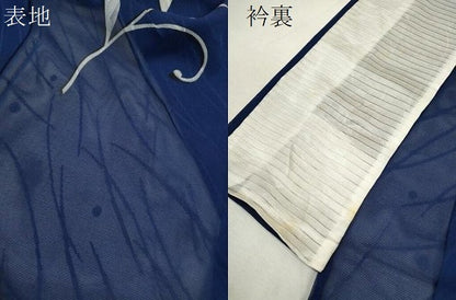平和屋着物＊夏物　訪問着　紗　枝花文　正絹　逸品　CABH7743ze
