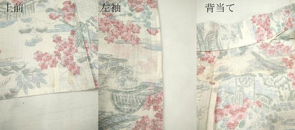 平和屋着物＊夏物　小千谷ちぢみ　草花風景文　麻　逸品　CABH7750ze