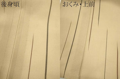 平和屋着物＊夏物　紗紬　変わり縞　正絹　逸品　CABH7752ze