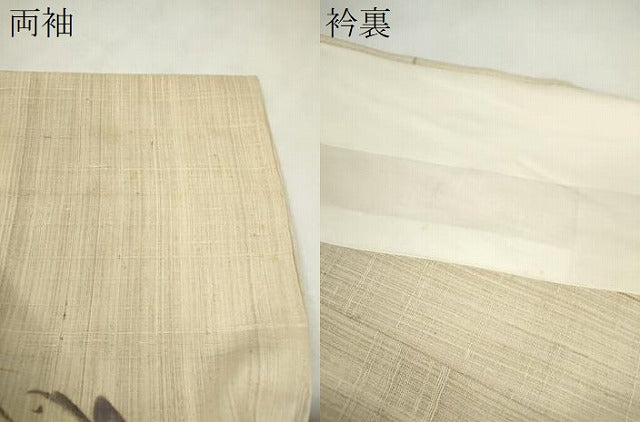 平和屋着物＊夏物　訪問着　生紬　紗　手描き　蛙　正絹　逸品　未使用　CABH7754ze