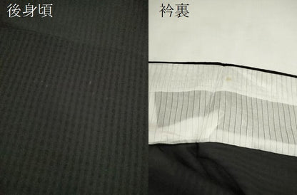 平和屋着物＊夏物　訪問着　紗　刺繍　夏虫　暈し染め　黒地　銀糸　正絹　逸品　CABH7755ze