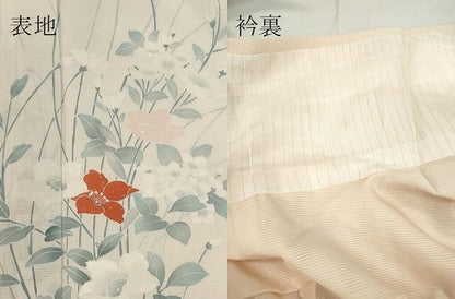 平和屋着物＊夏物　訪問着　絽　枝花文　暈し染め　正絹　逸品　未使用　CABH7760ze