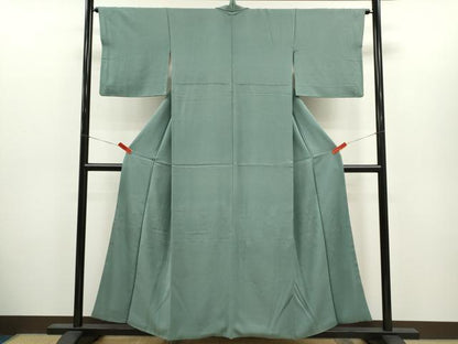 平和屋着物■色留訪問着　寿光織　草花文　銀糸　正絹　逸品　CABH7764ze