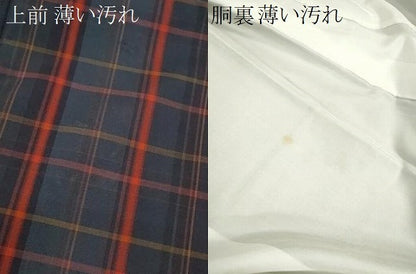 平和屋着物■上質な紬　格子柄　舞葉文　正絹　逸品　CABH7776ze