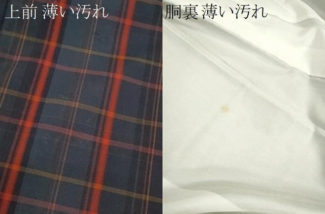 平和屋着物■上質な紬　格子柄　舞葉文　正絹　逸品　CABH7776ze