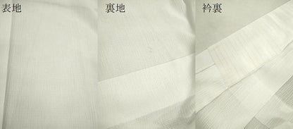 平和屋着物＊夏物　長襦袢　絽縮緬　洗える着物　CABH7808ze