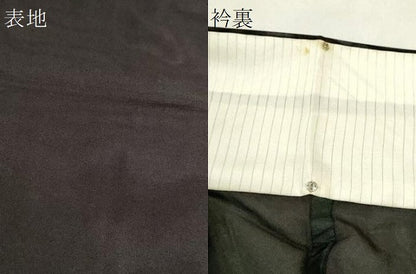 平和屋着物＊夏物　色無地　紗　烏羽色　正絹　逸品　CABH7818ze