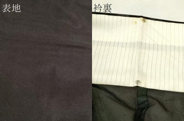 平和屋着物＊夏物　色無地　紗　烏羽色　正絹　逸品　CABH7818ze