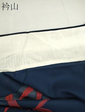 平和屋着物＊夏物　小紋　紗　笹竹文　正絹　逸品　未使用　CABH7828ze