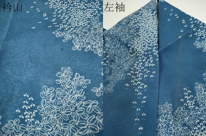 平和屋着物＊夏物　小紋　絽　草木文　洗える着物　CABH7845ze
