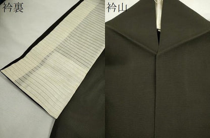 平和屋着物＊夏物　訪問着　絽　手描き　尾長鳥枝葉文　金銀彩　正絹　逸品　CABH7859ze