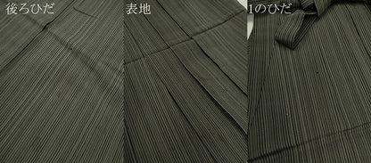 平和屋着物＊夏物　男性　行灯袴　縦絽　縞　正絹　逸品　CABH7860ze