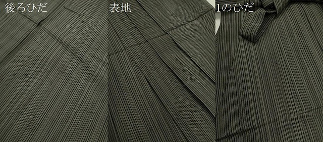 平和屋着物＊夏物　男性　行灯袴　縦絽　縞　正絹　逸品　CABH7860ze