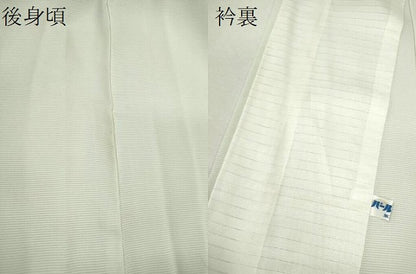 平和屋着物＊夏物　訪問着　絽　手描き　草花文　暈し染め　正絹　逸品　未使用　CABH7965ze