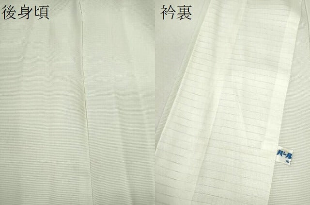 平和屋着物＊夏物　訪問着　絽　手描き　草花文　暈し染め　正絹　逸品　未使用　CABH7965ze