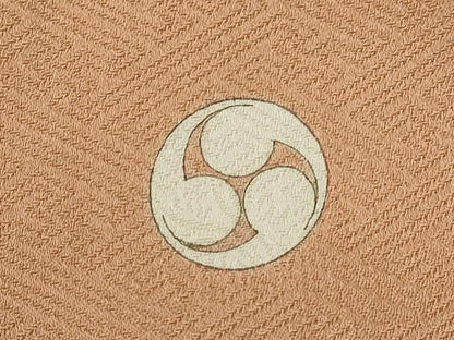 平和屋着物●豪華色留袖　駒刺繍　枝垂れ柳立波花文　暈し染め　金彩　正絹　逸品　CABH7969ze