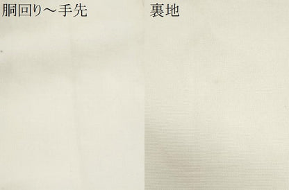 平和屋着物＊夏物　六通柄袋帯　立波文　銀糸　正絹　逸品　CABH8396fb