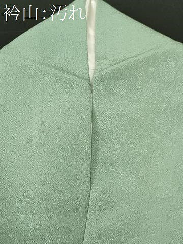 平和屋着物■色留訪問着　舞花文　金彩　鬼しぼ縮緬　正絹　逸品　CABH8847ev