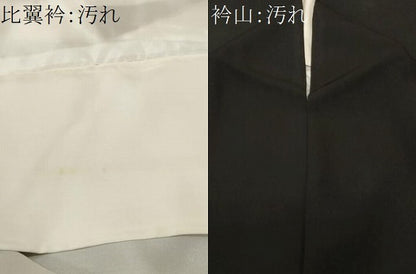 平和屋着物■豪華黒留袖　駒刺繍　飛鶴御所解文　金彩　正絹　逸品　CABH8889ev