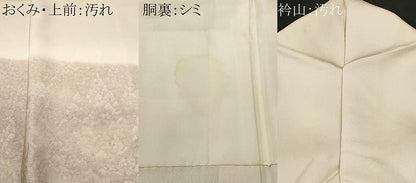 平和屋着物■訪問着　道長樹林文　西武百貨店扱い　正絹　逸品　CABH8984ev