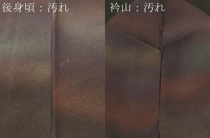 平和屋着物■上質な小紋　霞文　暈し染め　正絹　逸品　CABH9013ev