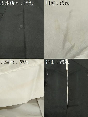平和屋着物■豪華黒留袖　作家文　飛鶴流水文　暈し染め　金彩　正絹　逸品　CABH9121ev