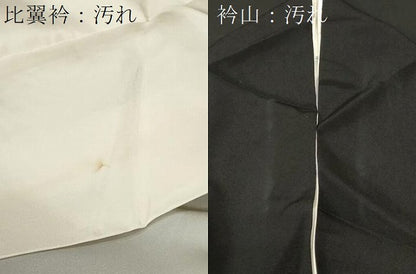 平和屋着物■豪華黒留袖　尾長鳥地紙宝尽し花文　金彩　正絹　逸品　CABH9142ev