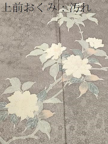 平和屋着物■訪問着　枝花文　暈し染め　正絹　逸品　CABH9154ev