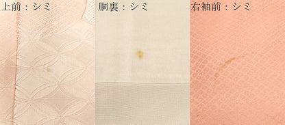 平和屋着物■色留訪問着　総刺繍　束ね熨斗草花文　暈し染め　正絹　逸品　CABH9170ev