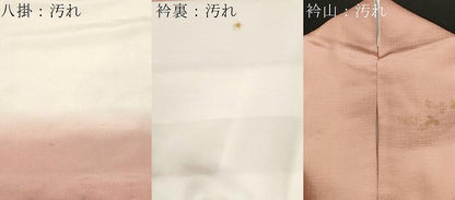 平和屋着物■訪問着　雪輪枝花文　暈し染め　金彩　正絹　逸品　CABH9185ev