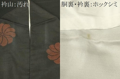 平和屋着物■上質な紬　舞花文　黒地　正絹　逸品　CABH9263ev