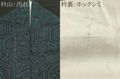 平和屋着物■上質な紬　吉祥花文　正絹　逸品　CABH9264ev