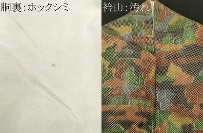 平和屋着物■上質な紬　風景文　正絹　逸品　CABH9296ev