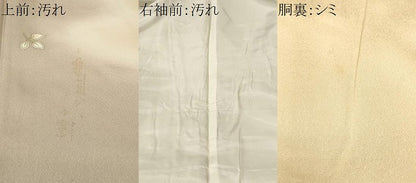 平和屋着物■訪問着　裏菊　枝菊文　暈し染め　金彩　正絹　逸品　CABH9303ev