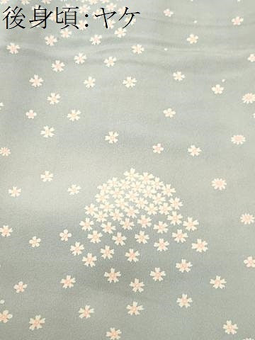 平和屋着物■訪問着　舞花文　遠山花文　暈し染め　正絹　逸品　CABH9318ev