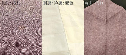 平和屋着物■江戸小紋　鮫小紋柄　正絹　逸品　CABH9375ev